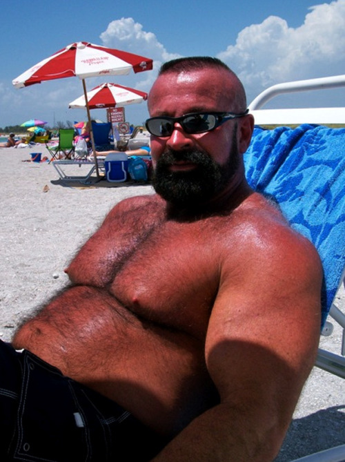 hairy chest - sexy muscle - mature men