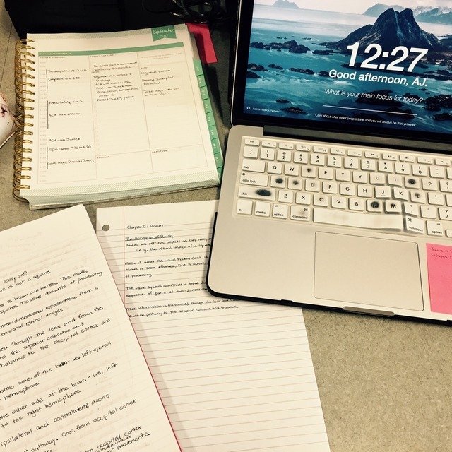 Get Paid To Do Homework Online - Moneyjojo