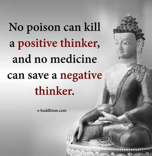buddha quotes on Tumblr