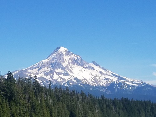 MT. Hood