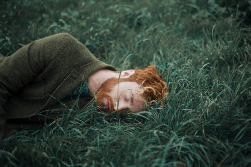 betomad:ginger rest in Ireland. photo by Nathan Magee