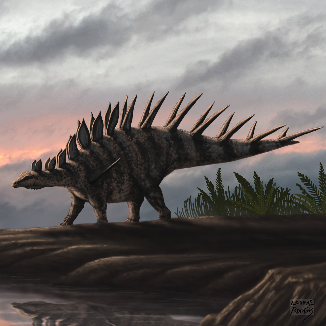 dinosaur with 2 rows of spikes on back