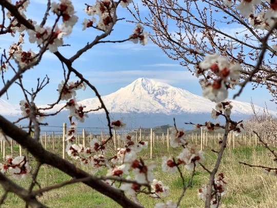 mount ararat mount ararat, armenia digital nomad