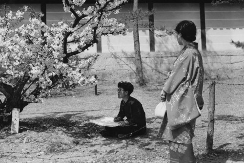 s-h-o-w-a:A student sitting under a cherry tree sketching the...