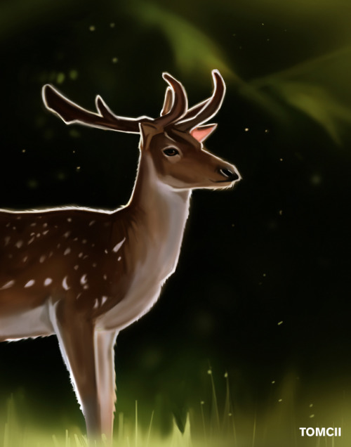 deer drawing on Tumblr