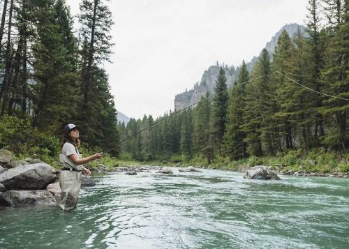 fieldandforest:SUMMER IN BIG SKYEndless mountain views,...