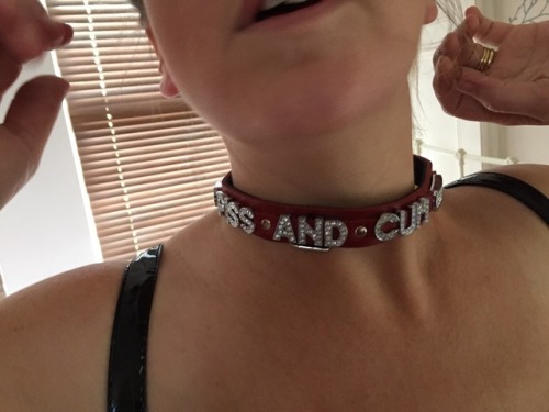 My wife’s collar, quite the coincidence