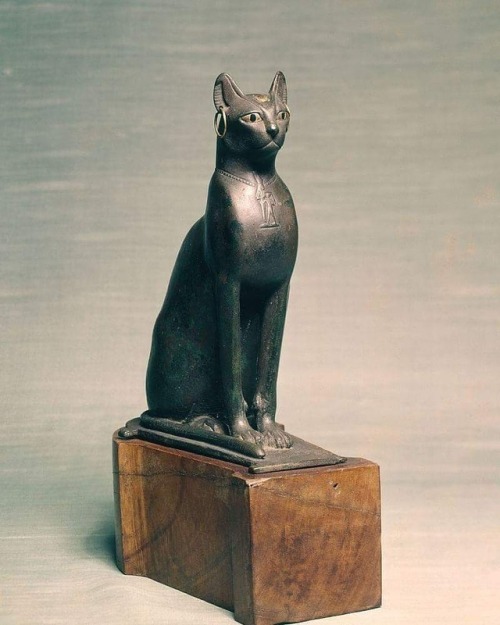 egypt-ancient-and-modern:egyptpassion:This seated cat has...