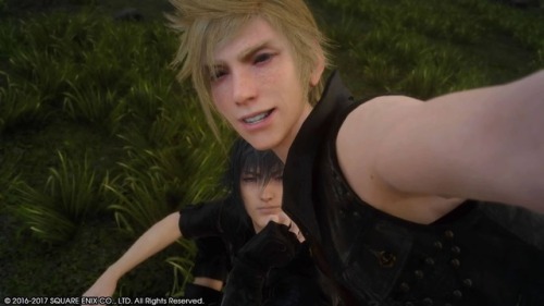 kyaorii:Promptis appreciation post