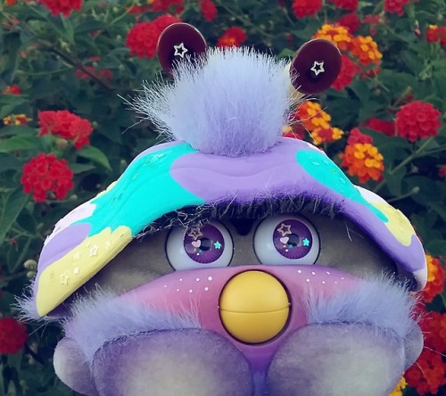 furbypurrs:Finished custom Shelby. His name is jellyfish