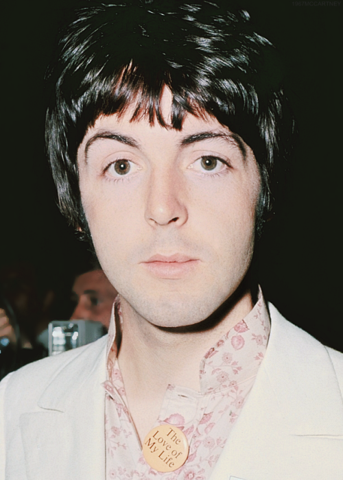 Paul Mccartney's Eyebrows 