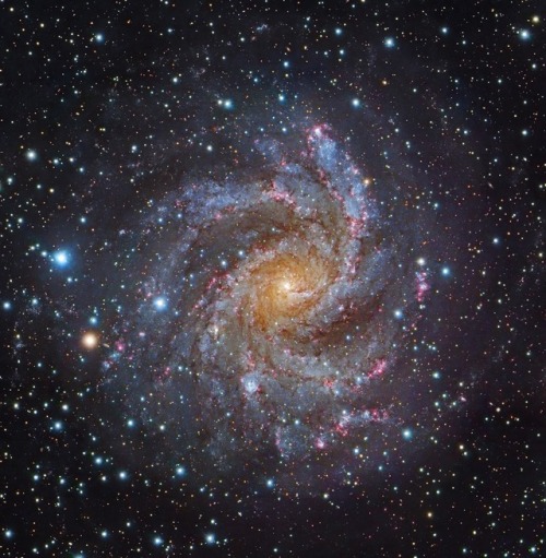 cosmicdustpw:NGC 6946, Fireworks Galaxy [1280 x 1308] by...