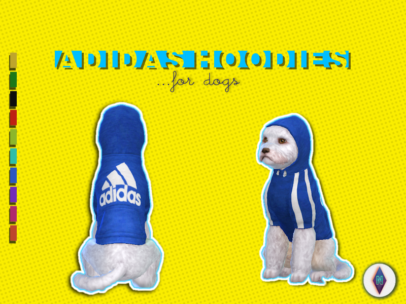 dog adidas sweatshirt