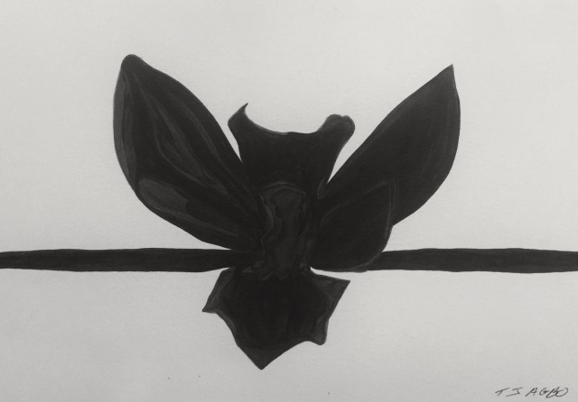 Black Orchid, 2020