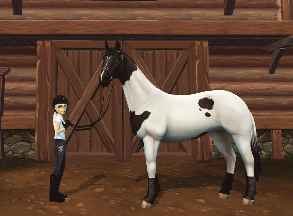 star stable on Tumblr