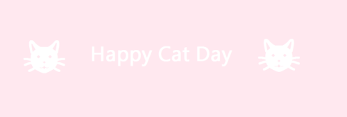 springgette:Don’t forget to hug a cat today since it’s...