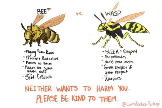 Wasp Chart