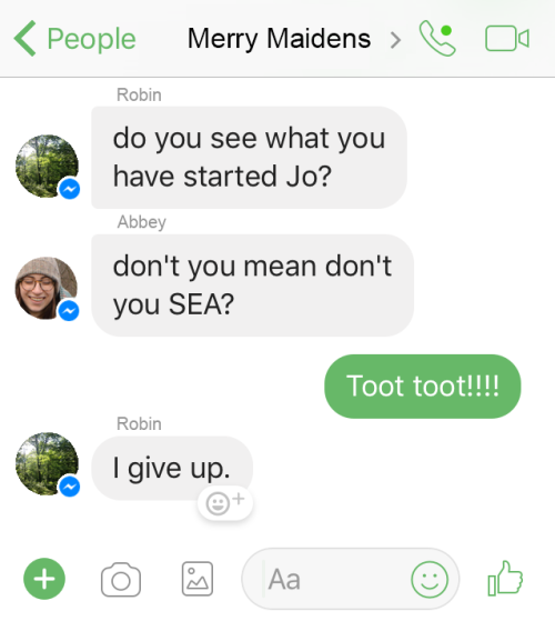 From the Merry Maidens group chat. Merry Maidens is a...