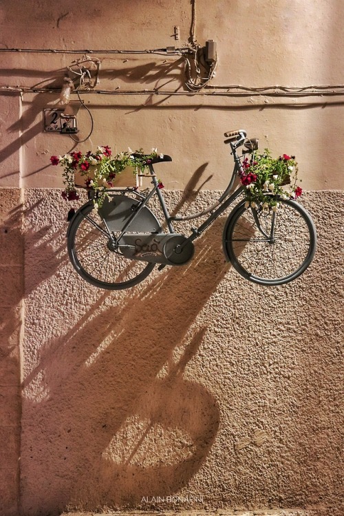 vintage bicycle on Tumblr