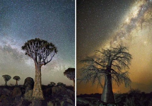 the-awesome-quotes:Beth Moon Photographs The World’s Oldest...