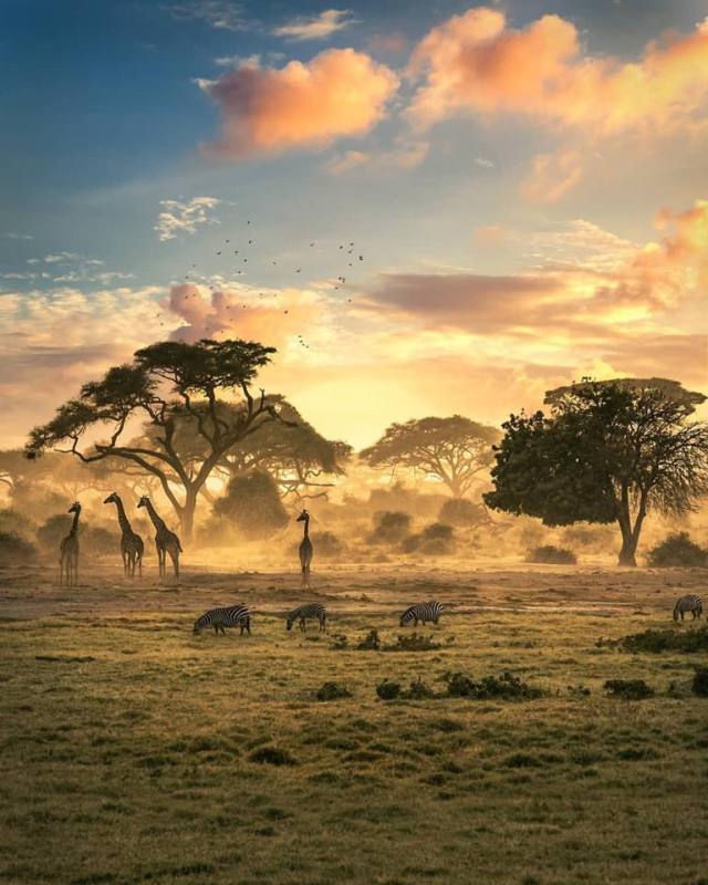 Untitled — Zimbabwe.