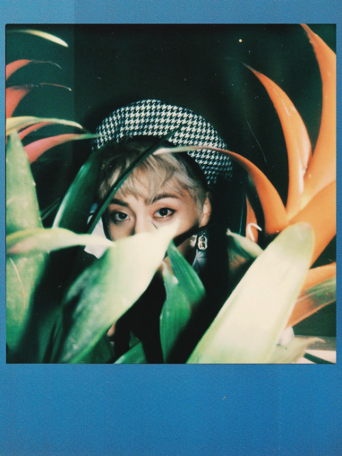 baekhyuntella:Xiumin - “Blooming Days” Teaser Photos