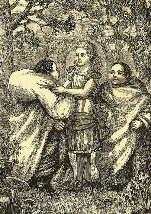 Alice, Dum and Dee in an illustration for a 1883 stage version of Through the Looking-Glass. I can find no other record of the actual stage production sadly.
This lovely illustration reminds me of Victorian wood block illustrations.