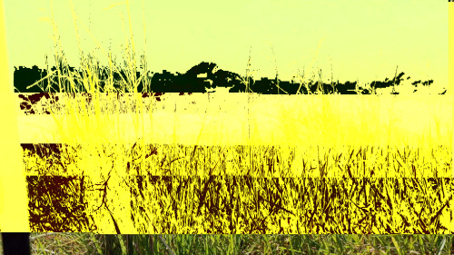 glitchphotography