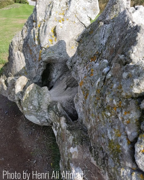 Whale bone from a whale that washed up on Croyde Beach Devon in...