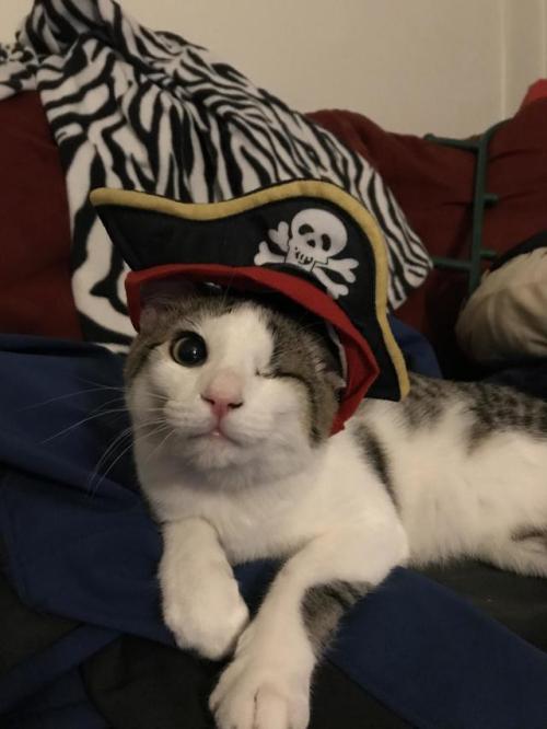 ainawgsd