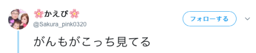 bibidebabideboo:“がんもがこっち見てる”(