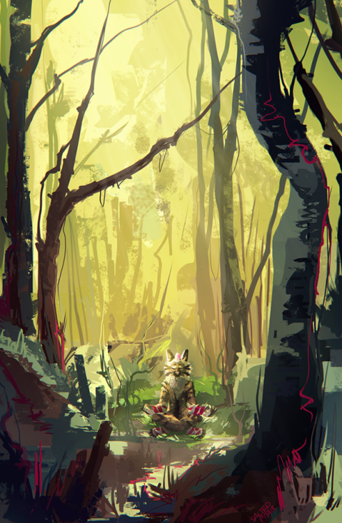 saltedpita:forest glade