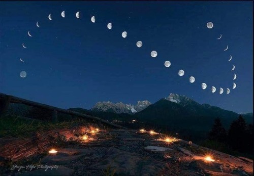 davidsavoie:Photos of the moon, taken every evening in the same...