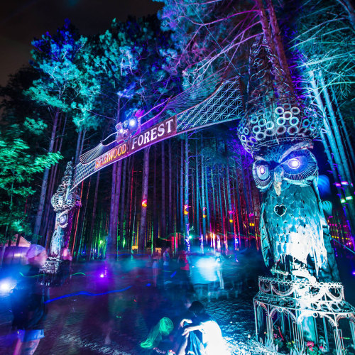 electricforestfest:The Forest is calling, can you hear it?