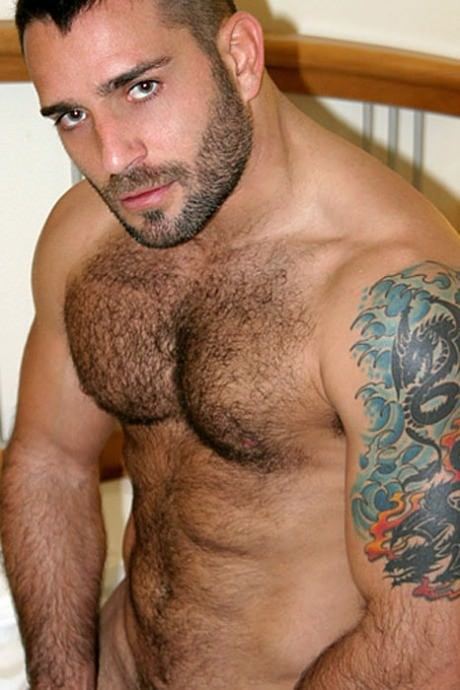 Hot & Hairy Hunks