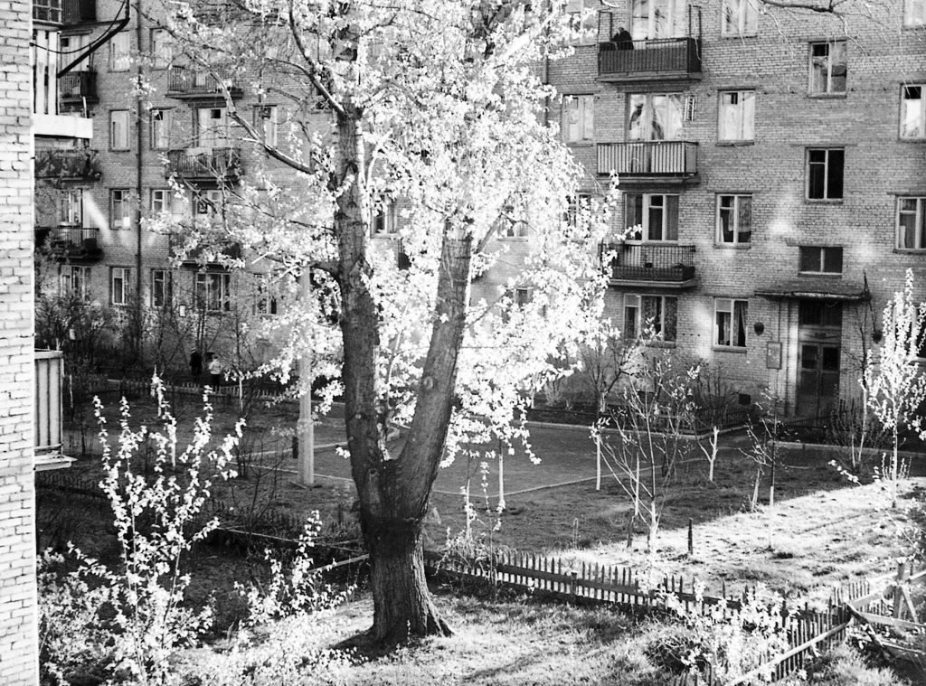 Vokzalny Lane in Moscow. Photo by Yuri Burov (1962)