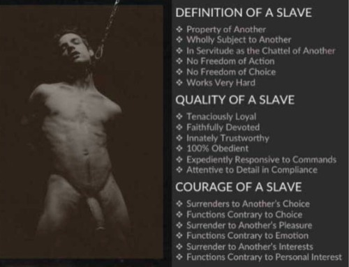 e1worldview:excellent summary mandatory for all slaves