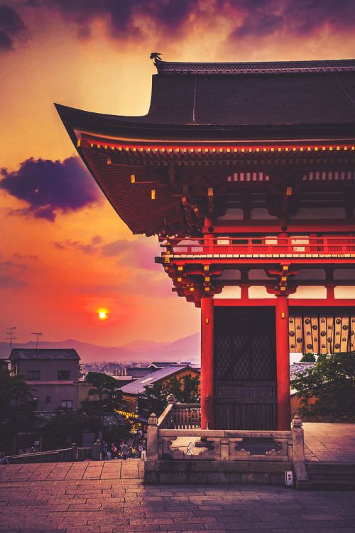 adventure-heart:Visit Japan the next year. 