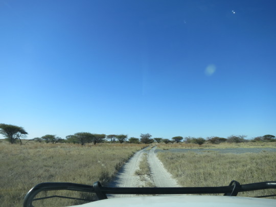 Aventura 4x4 por Botswana y Namibia - Blogs de Africa Sur - Serowe-Kubu Island (10)