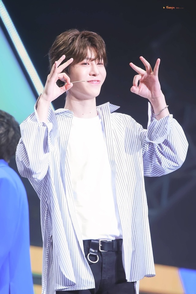 Fan ChengCheng