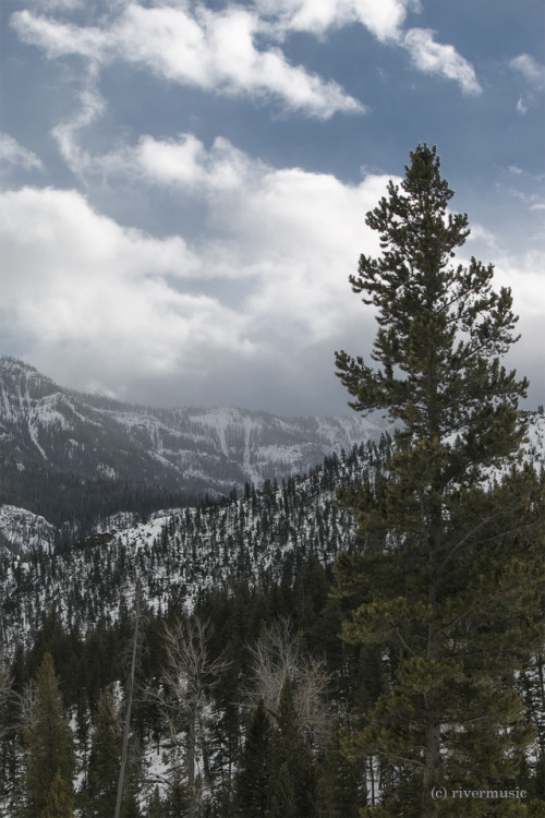 riverwindphotography:A Distant Storm: Shoshone National...