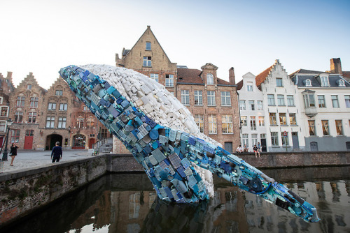 bobbycaputo:A 38-Foot-Tall Whale Made From 10,000 Pounds of...