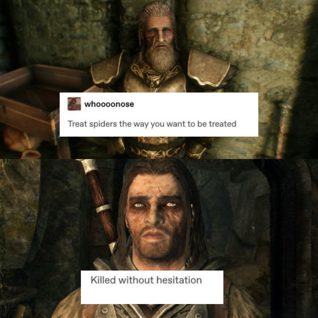 skyrim memes on Tumblr