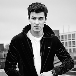 shawnmendesicons:c: archivepeteraul on twitter like or...