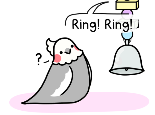 itsabirbthing