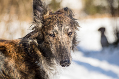 the-pasta-pack:Giving me the stink eye. :P