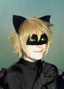 Chat Noir Cosplay Tumblr