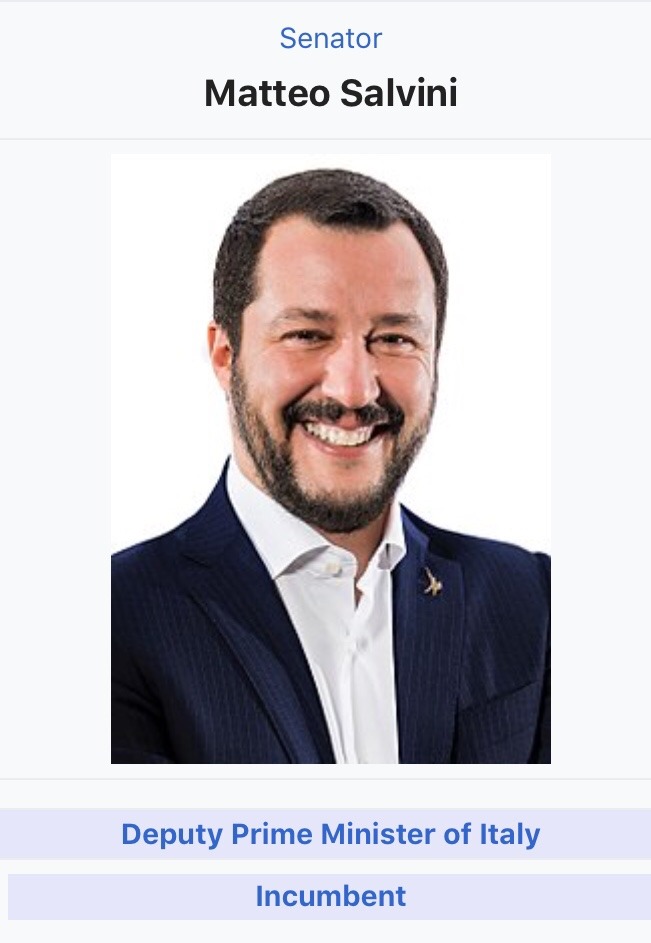 Matteo Salvini Jung - Matte