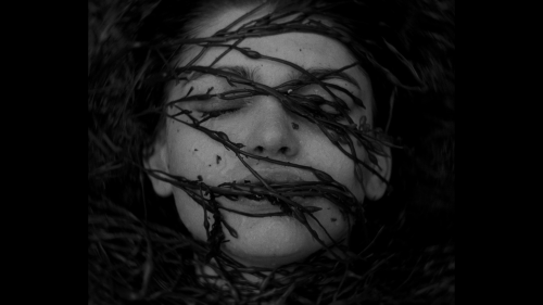 filmsthesia