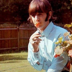 submarineshape:Ringo Starr + SummerGeorgeJohnPaul